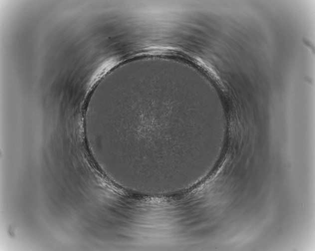 X0000097291362200802221302