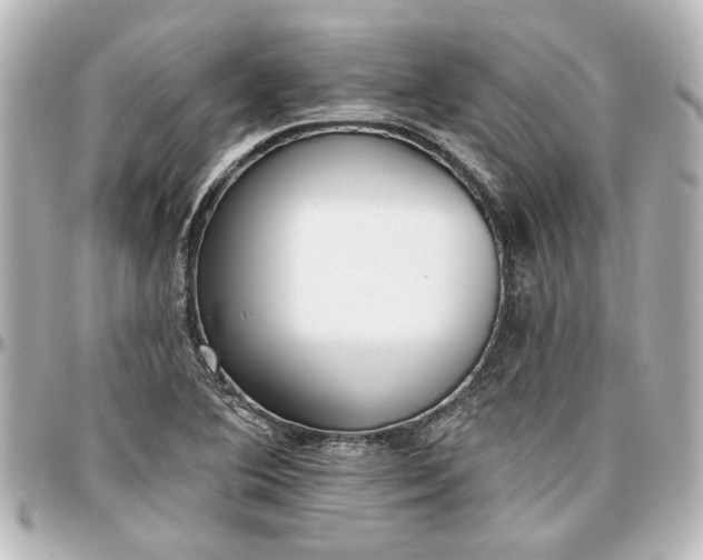 X0000097291364200802221302