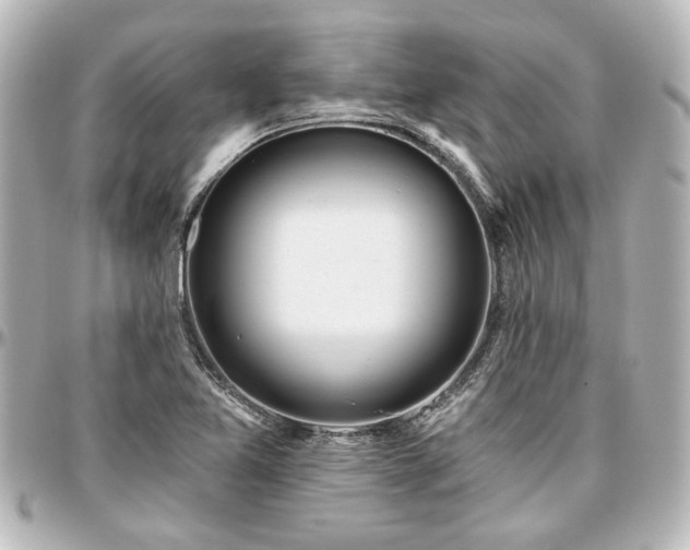 X0000097291365200802221302