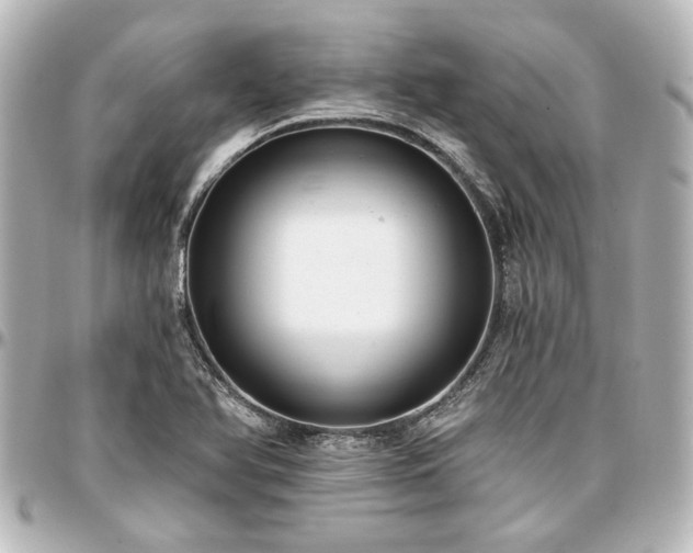 X0000097291366200802221302