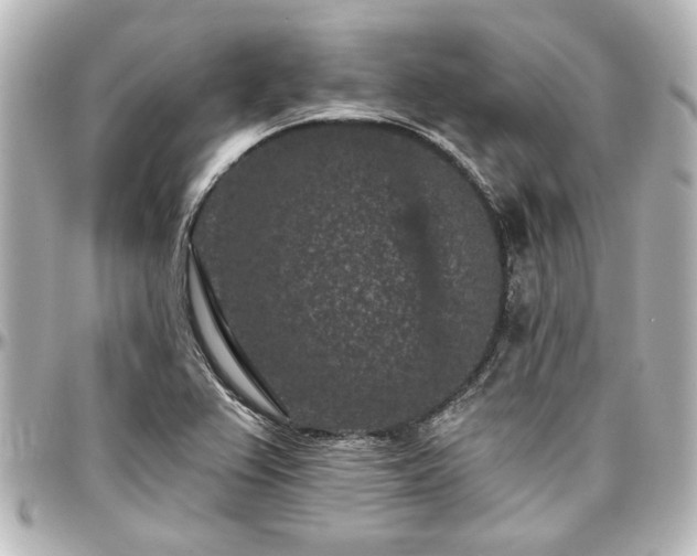 X0000097291367200802221302