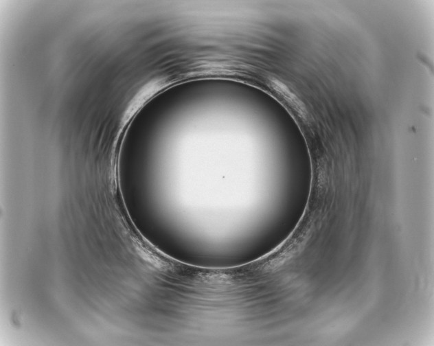 X0000097291370200802221302