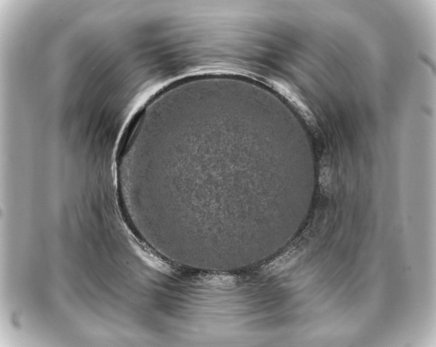X0000097291372200802221302