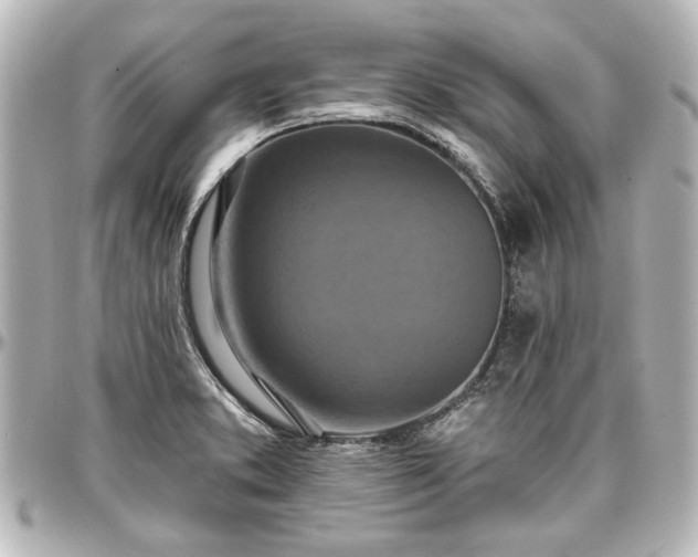 X0000097291373200802221302
