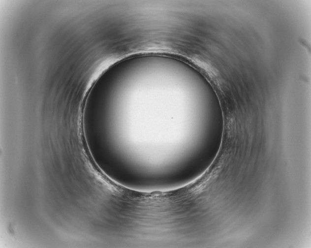 X0000097291374200802221302