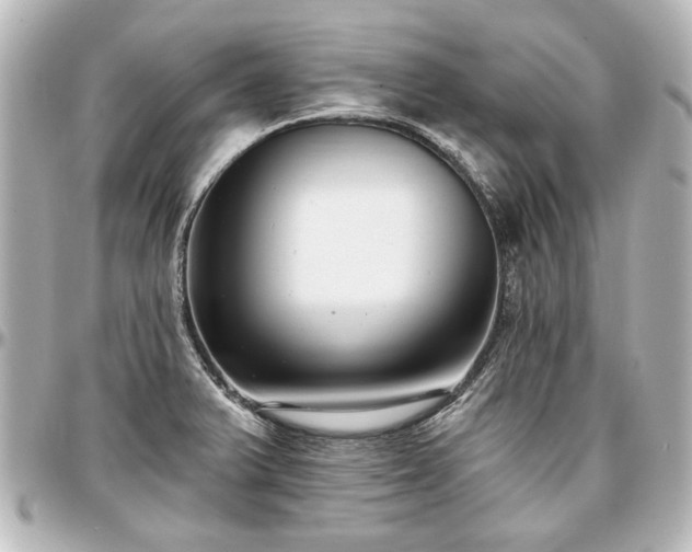X0000097291375200802221302
