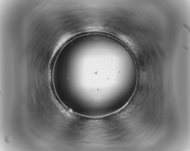 X0000097291376200802221302