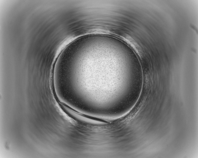 X0000097291379200802221302