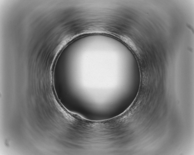 X0000097291380200802221302