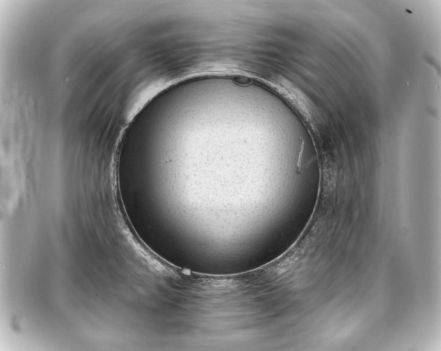 X0000097291382200802221302