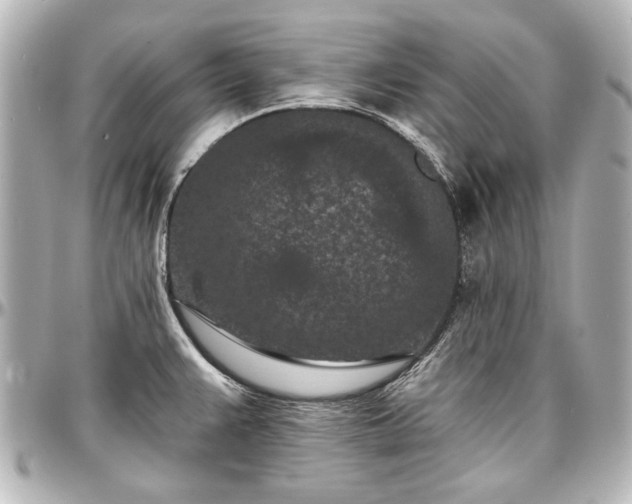 X0000097291383200802221302