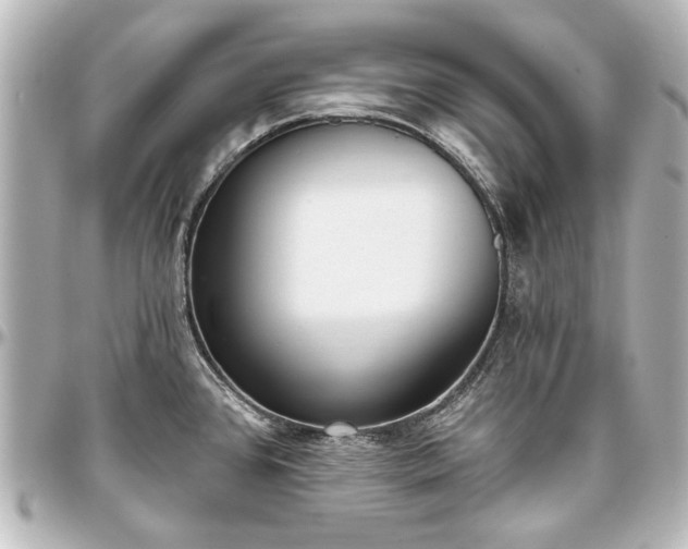 X0000097291384200802221302