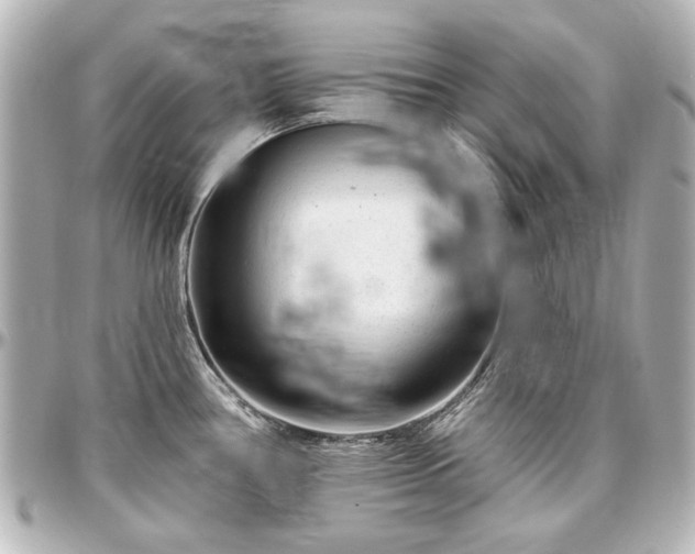X0000097291386200802221302