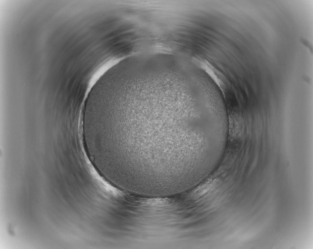 X0000097291387200802221302