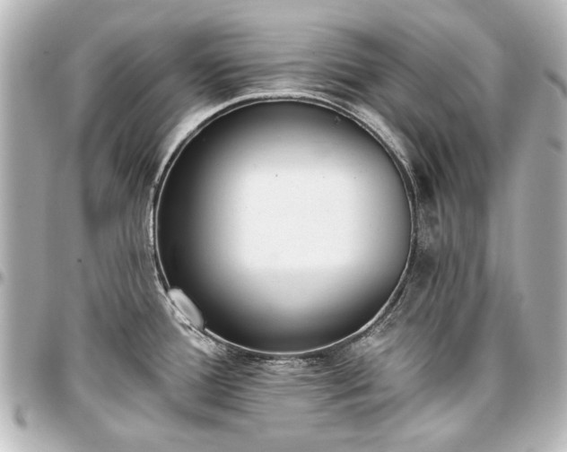 X0000097291388200802221302