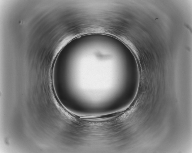 X0000097291389200802221302