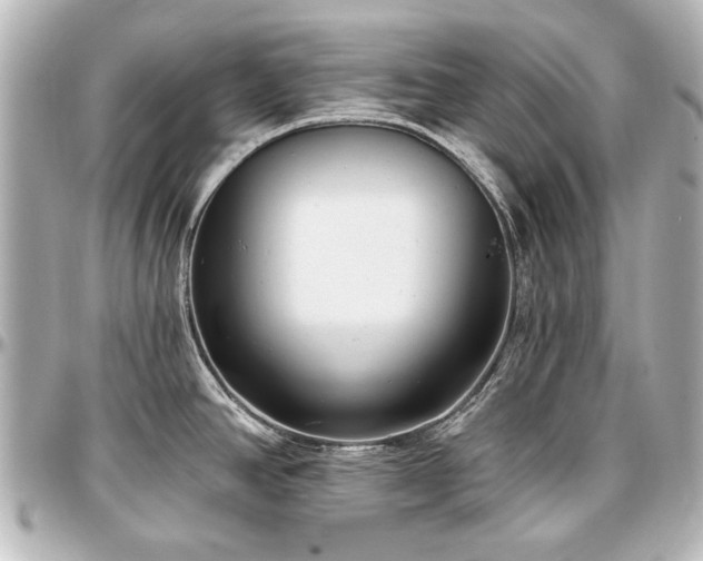 X0000097291390200802221302