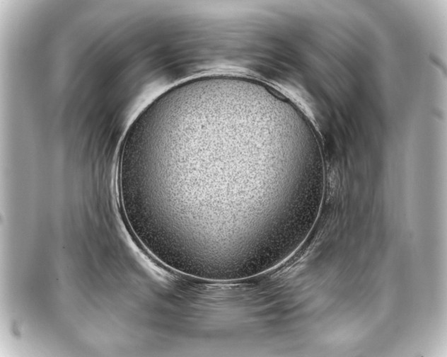 X0000097291391200802221302