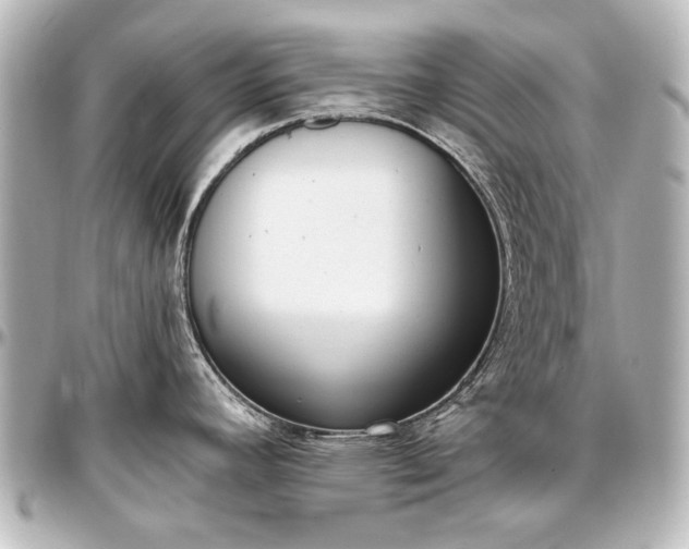 X0000097291392200802221302