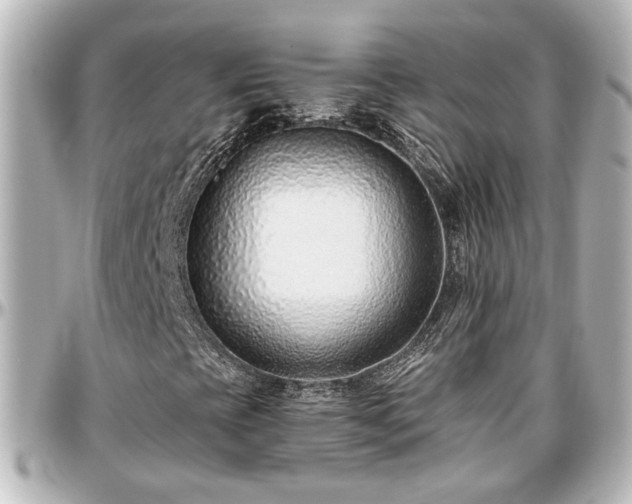 X0000097291393200802221301