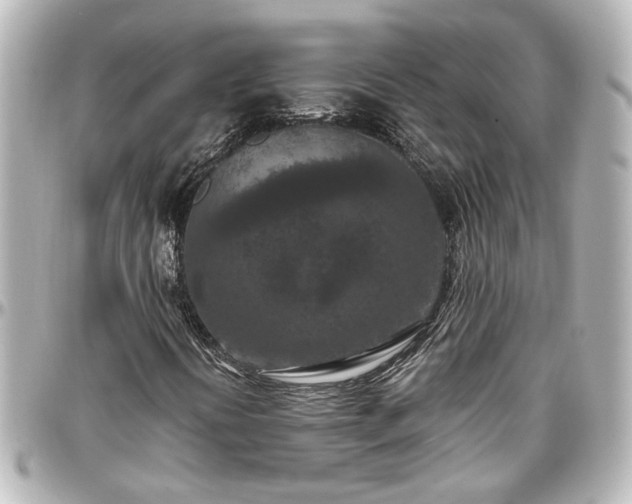 X0000097291394200802221301