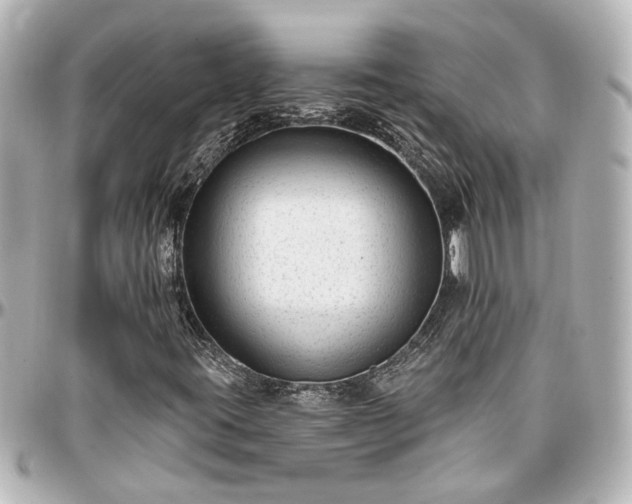X0000097291395200802221301