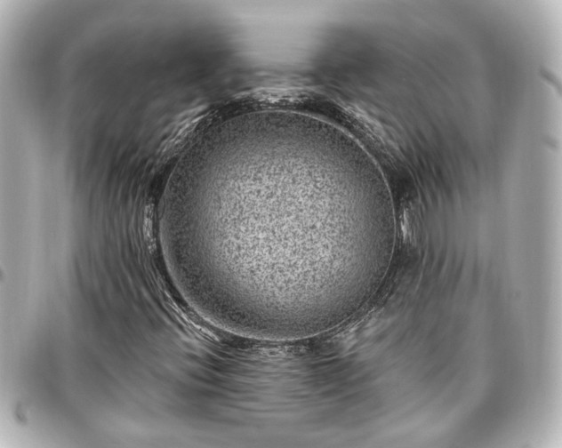 X0000097291396200802221301