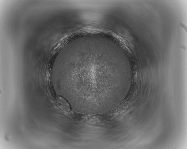 X0000097291397200802221301
