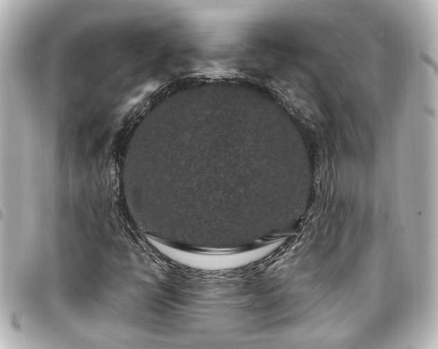 X0000097291398200802221301