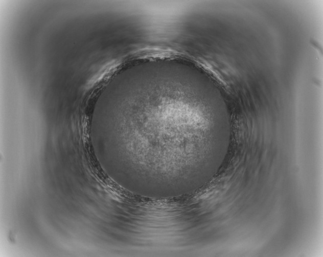 X0000097291399200802221301