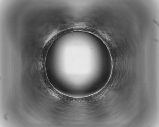 X0000097291400200802221301