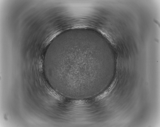 X0000097291401200802221301