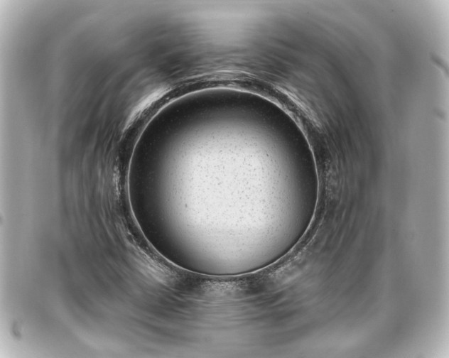 X0000097291402200802221301