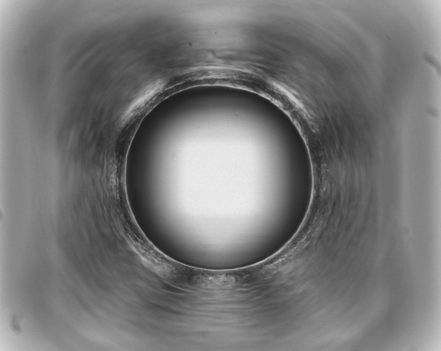 X0000097291403200802221301