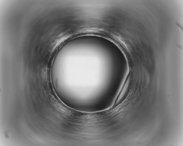 X0000097291404200802221301