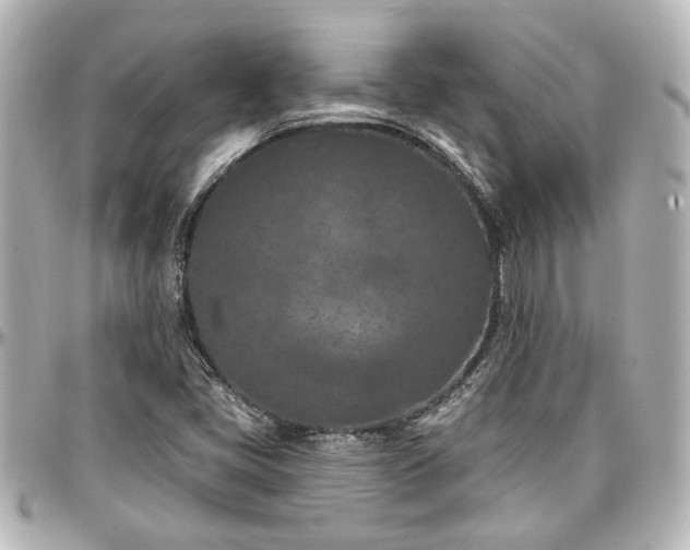 X0000097291405200802221301