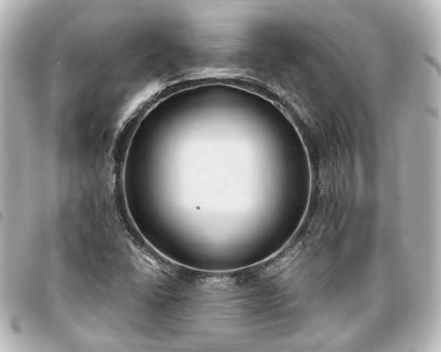 X0000097291406200802221301