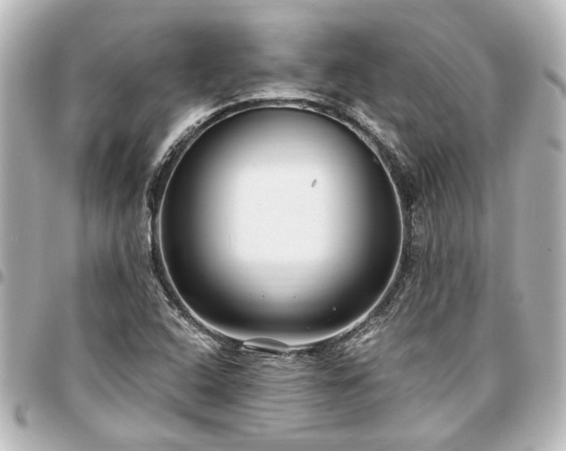 X0000097291408200802221301