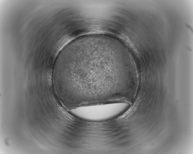 X0000097291409200802221301