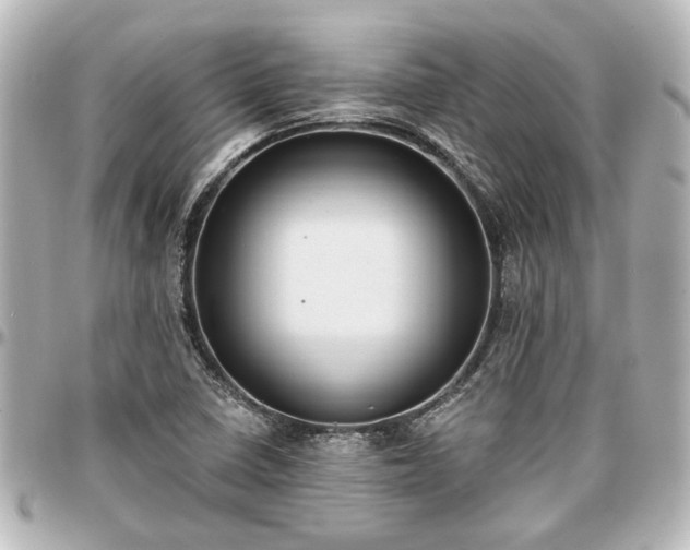 X0000097291410200802221301