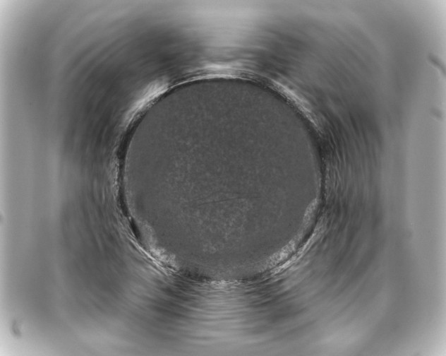 X0000097291411200802221301