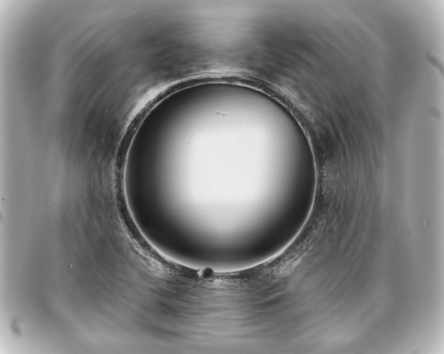 X0000097291412200802221301
