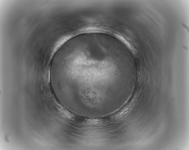 X0000097291413200802221301