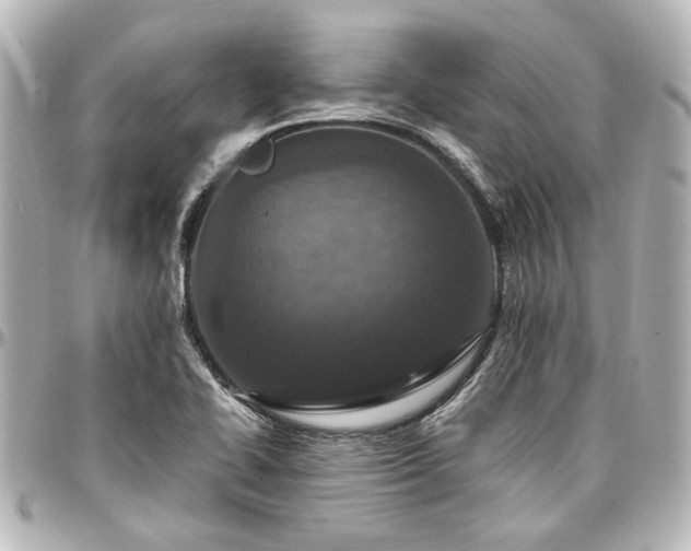 X0000097291414200802221301