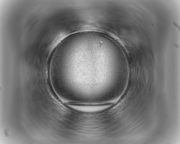 X0000097291415200802221301