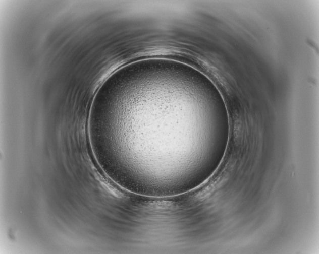 X0000097291417200802221301