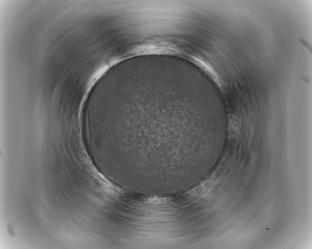X0000097291419200802221301