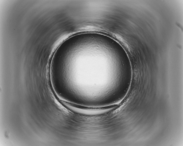 X0000097291421200802221301