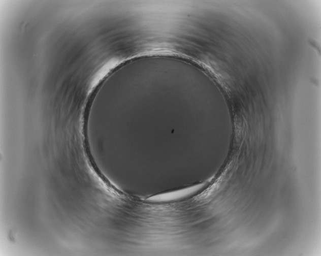 X0000097291422200802221301