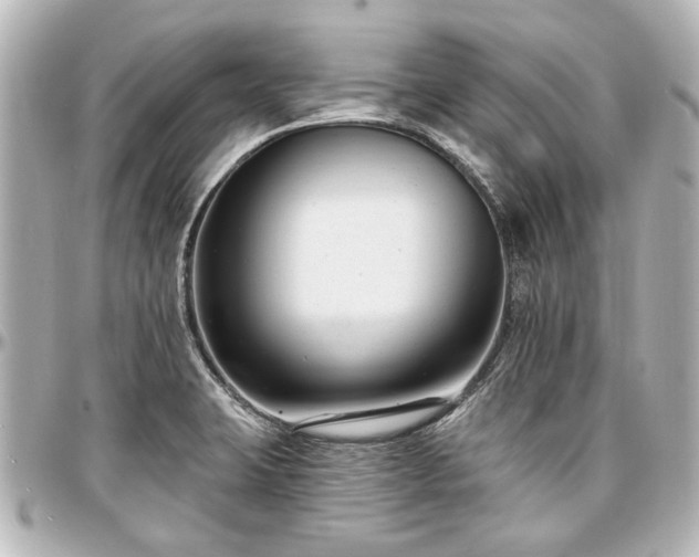 X0000097291423200802221301